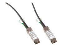 Fiberworks - 100GBase-CR4-direktekoblingskabel - QSFP28 til QSFP28 - 3 m - toakset - dupleks - passiv