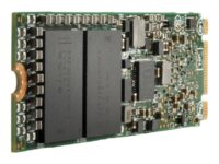 HPE Read Intensive Mainstream Performance - Solid State Drive - 960 GB - intern - M.2 22110 - PCI Express 3.0 x4 (NVMe) - Multi Vendor