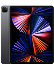 12,9-tommers iPad Pro (5. gen.) (5. gen.)