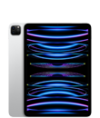11-tommers iPad Pro (4. gen.) (4. gen.)
